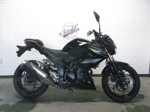 カワサキ Z250