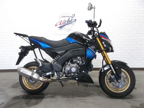 カワサキ Z125PRO